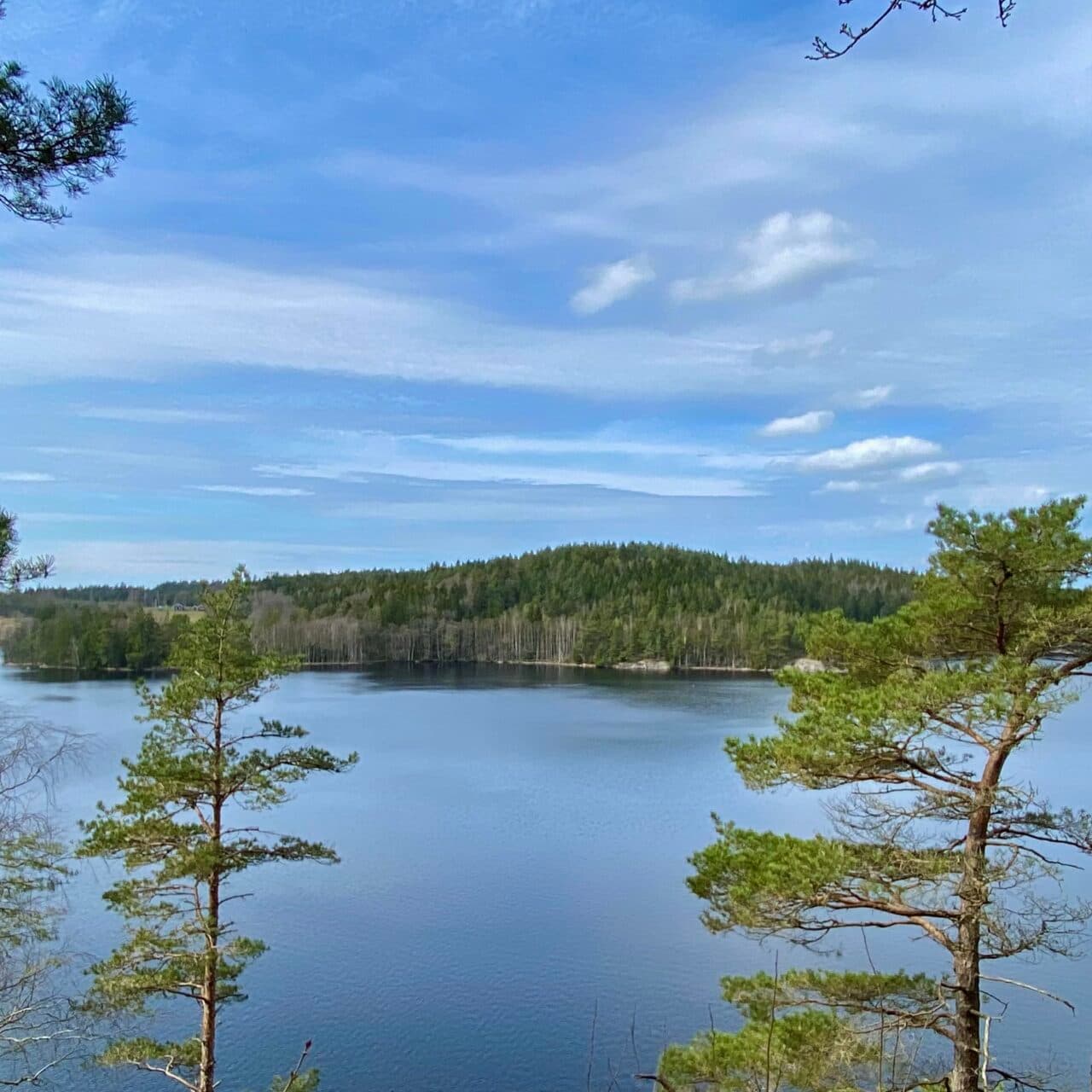 Vy över Håltesjön