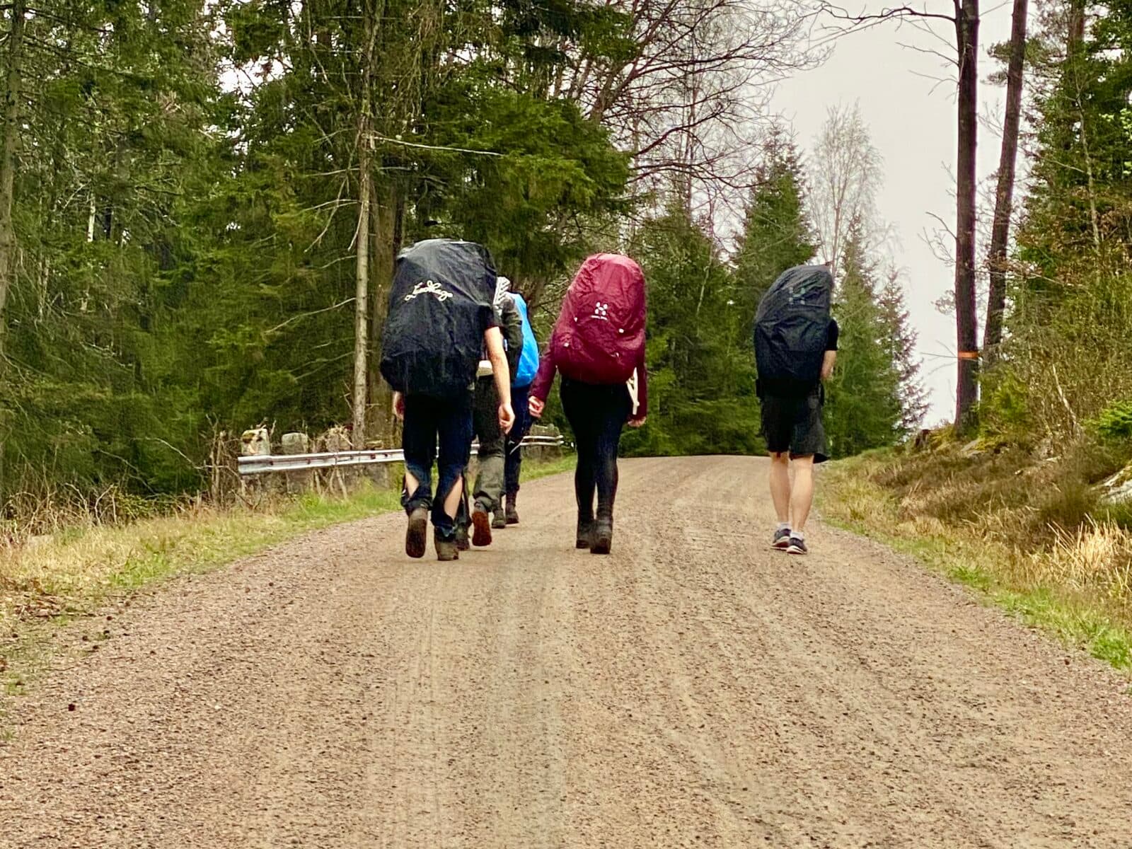 Grusvägarna och kalhyggena är inte lika roliga…