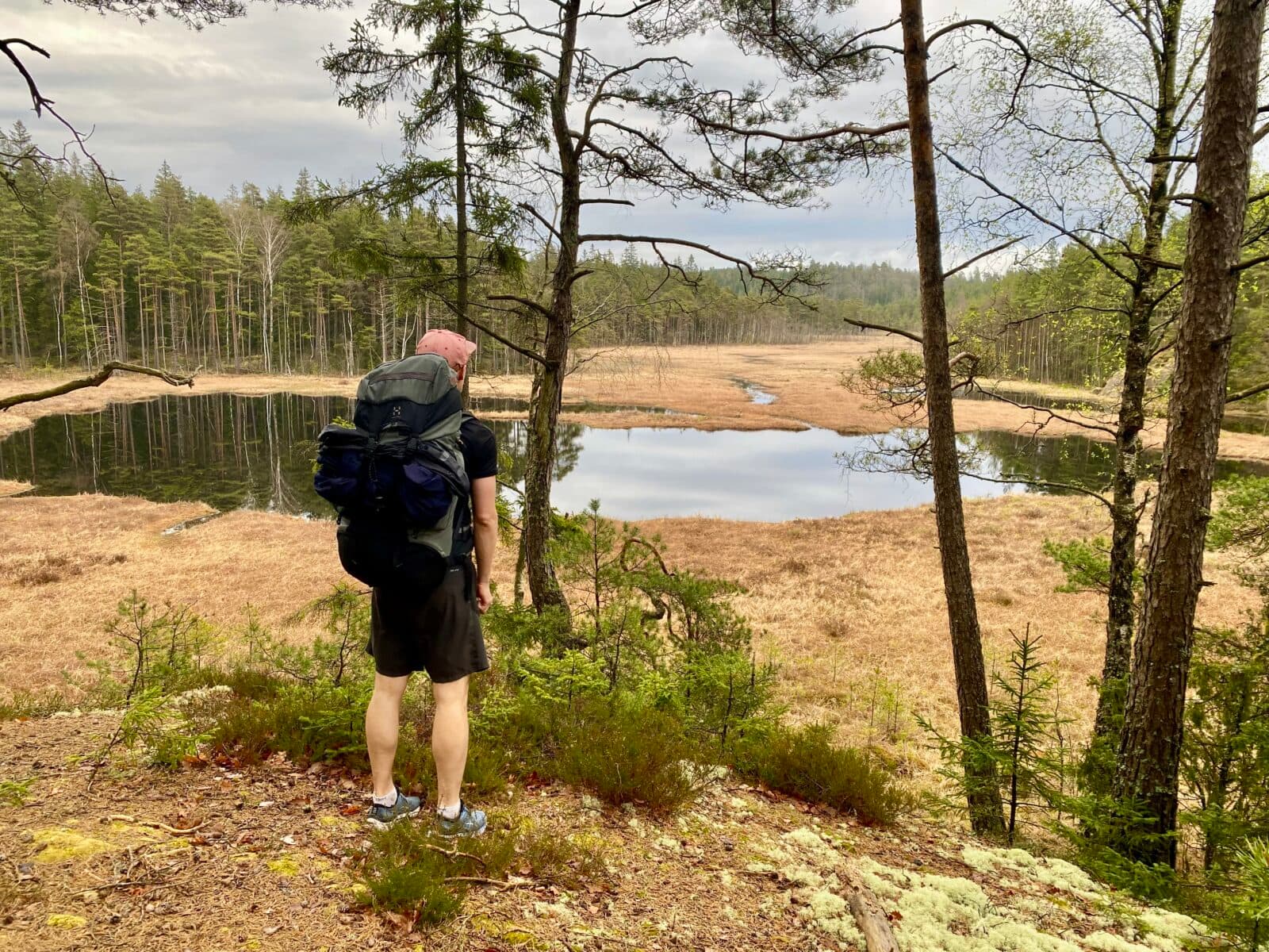 Vacker myrsjö längs stigen