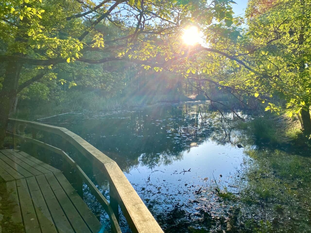 Kvarnbergsdammen