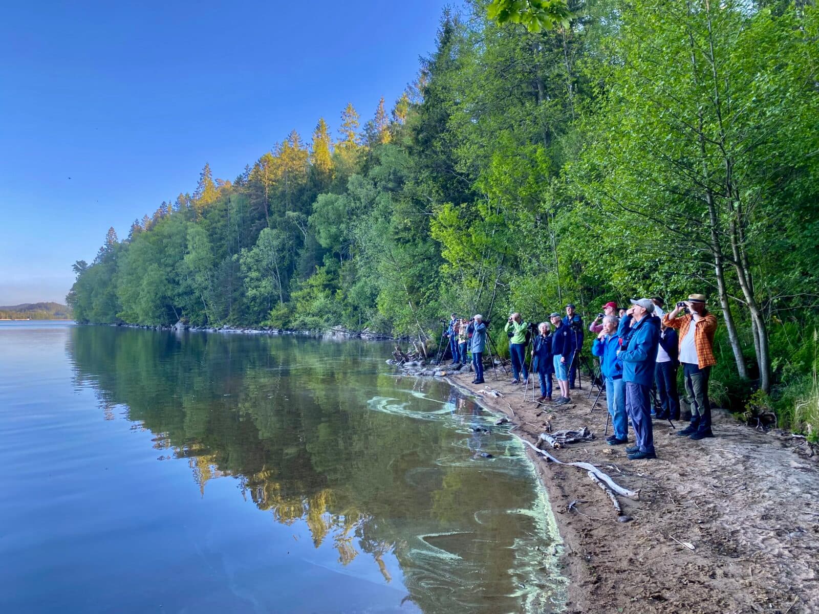 Spaning nere från stranden