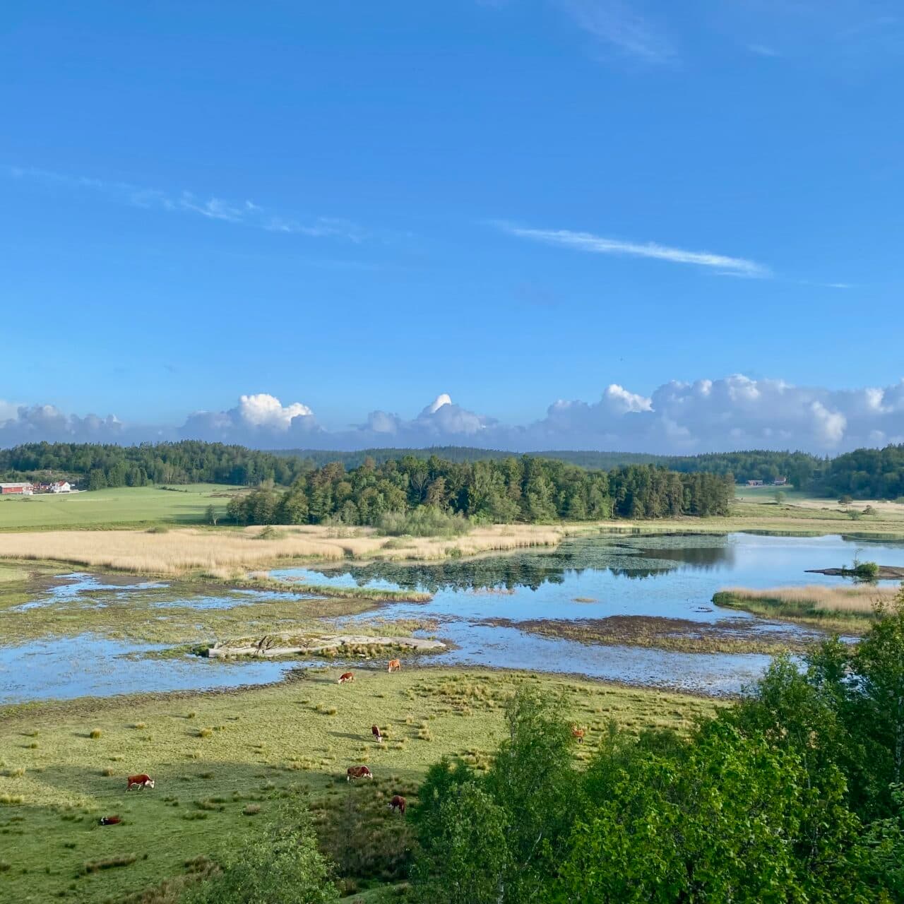 Vy över Kollungeröd vatten