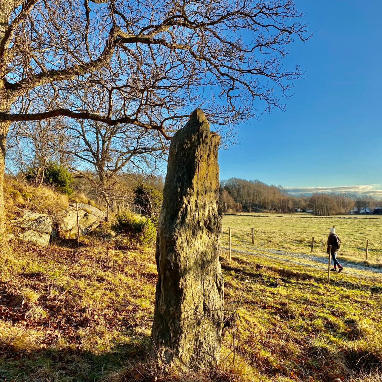 Vandring på Stora Askerön