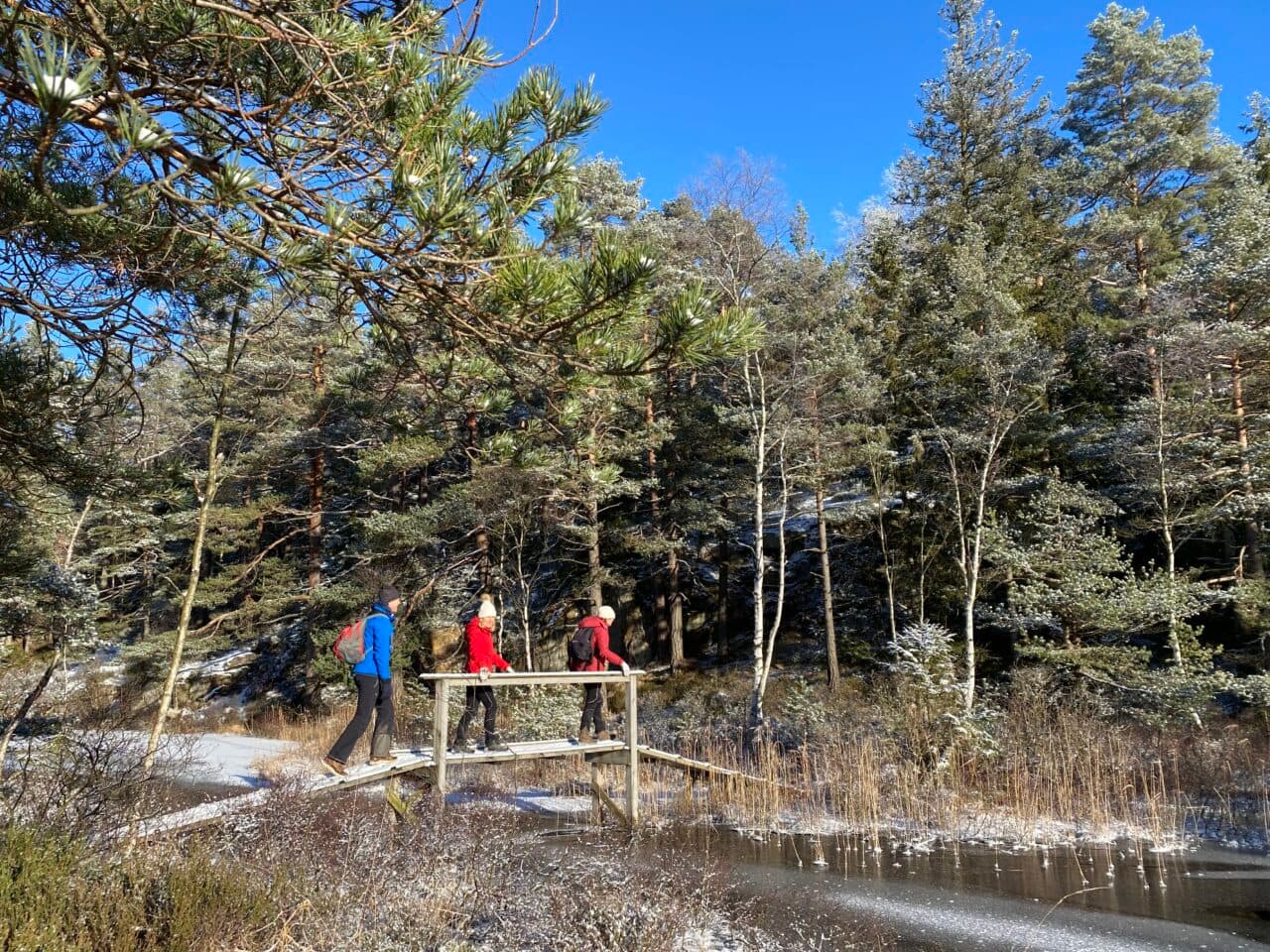 Vintervandring vid Gårdsjön