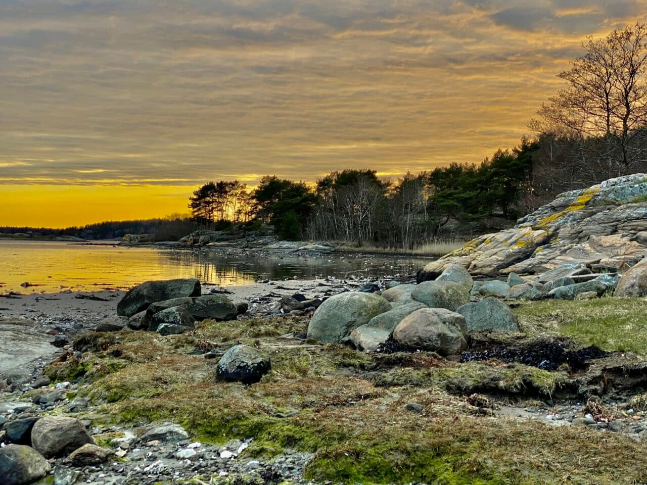 Råön i kvällningen