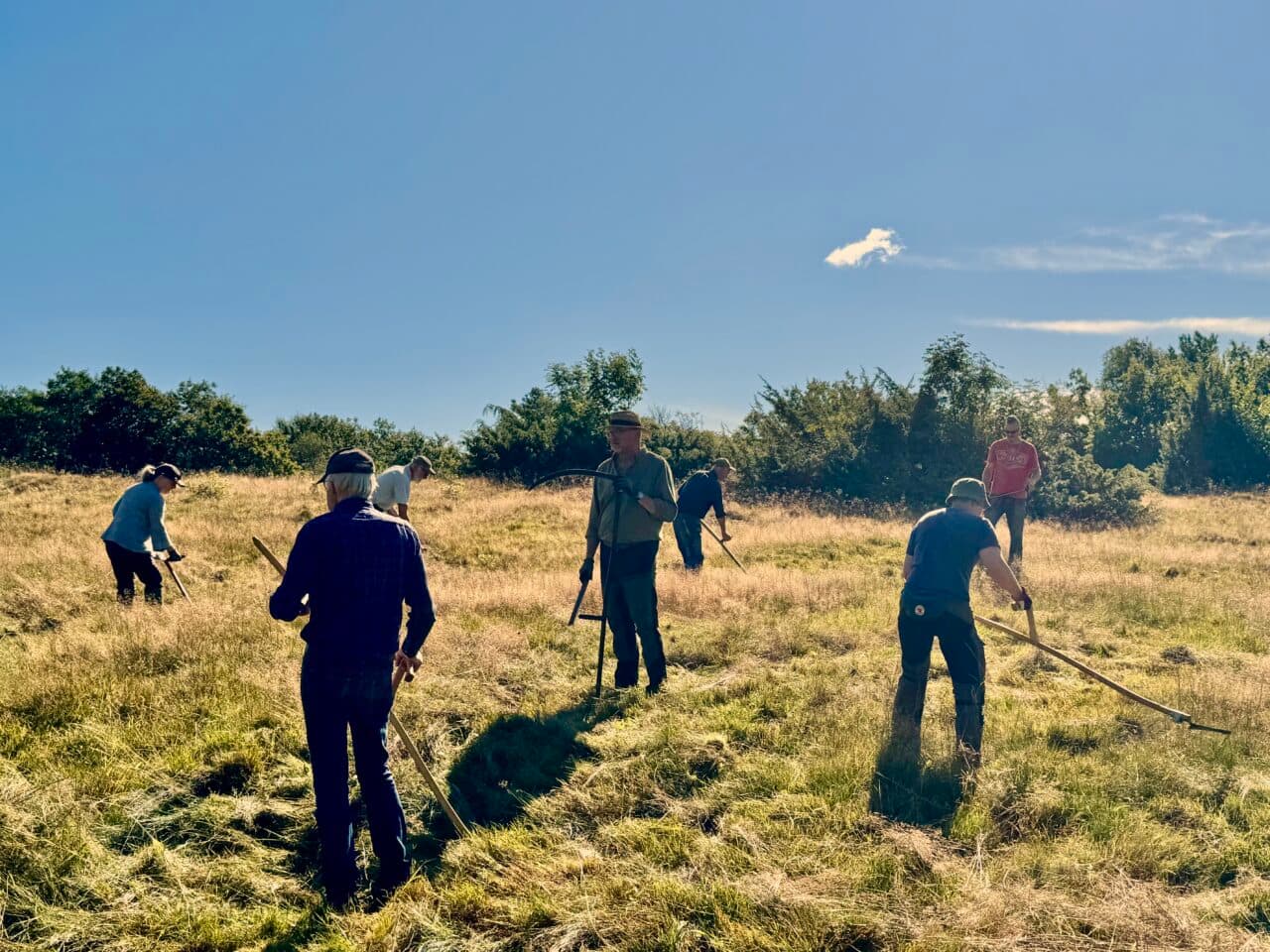 Slåttergille med naturskyddsföreningen