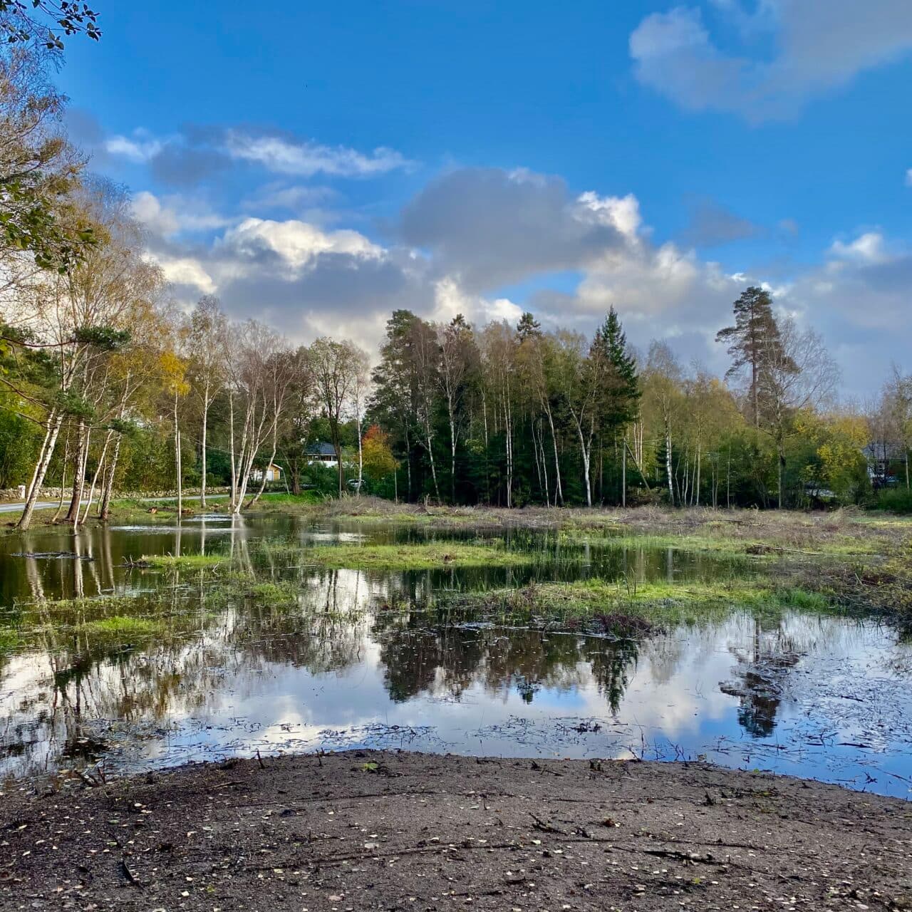 Näs mosse - biologiskt mångfaldsprojekt
