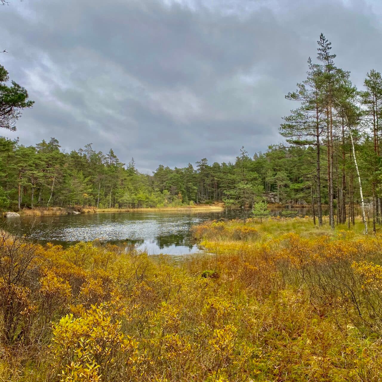 Sydändan av Gårdsjön