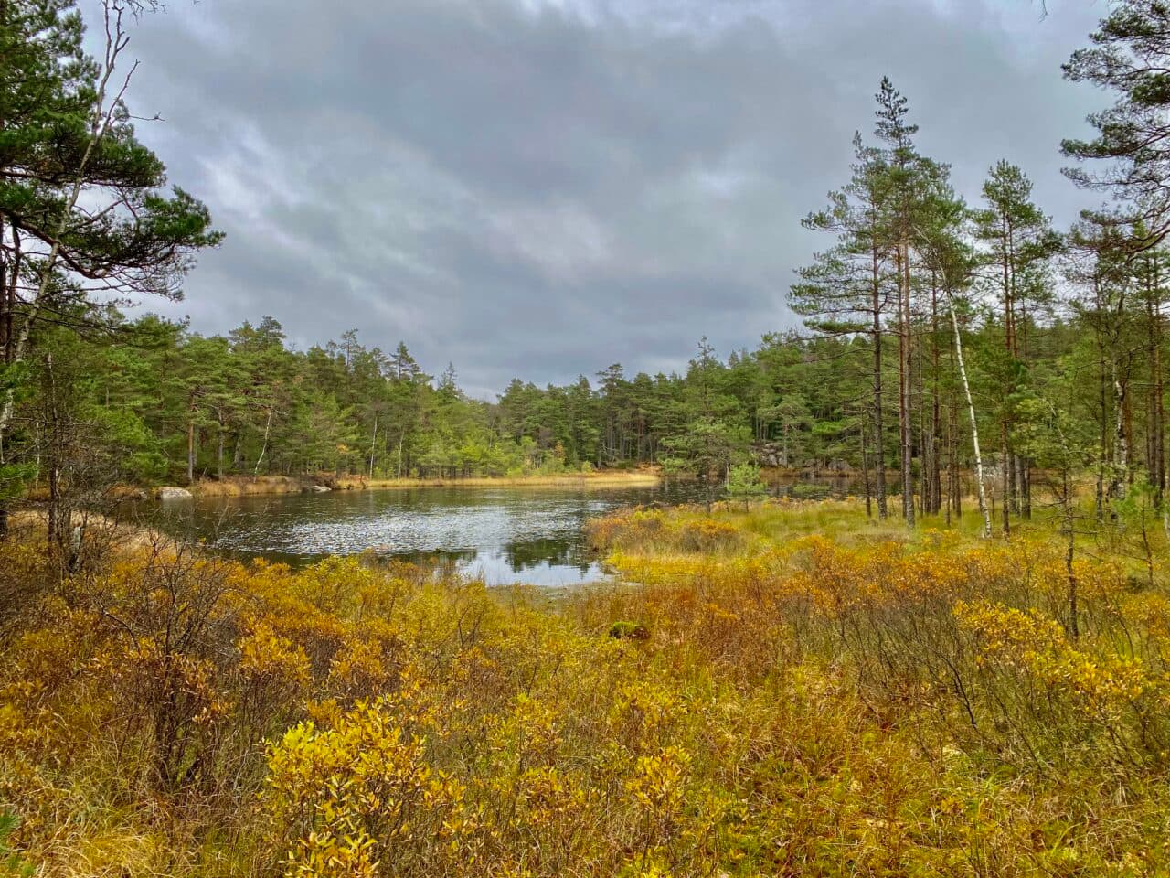 Sydändan av Gårdsjön