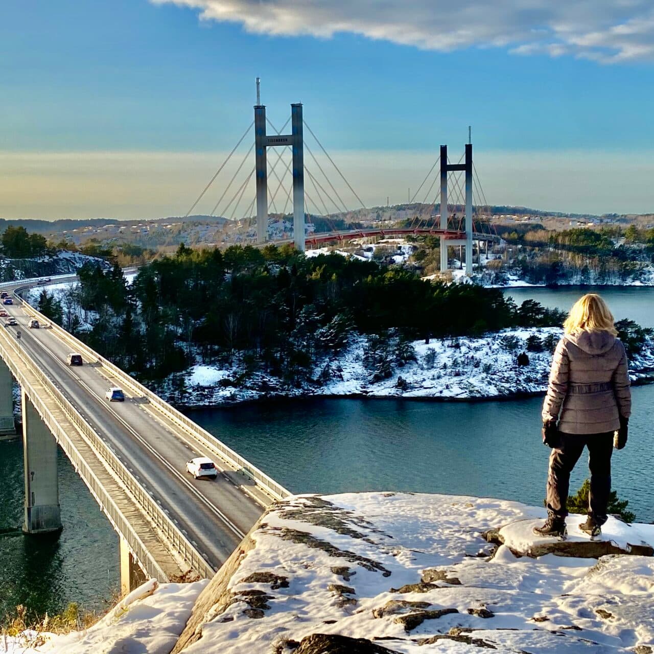 Vy över Tjörnbroarna från Södra Stenungsön