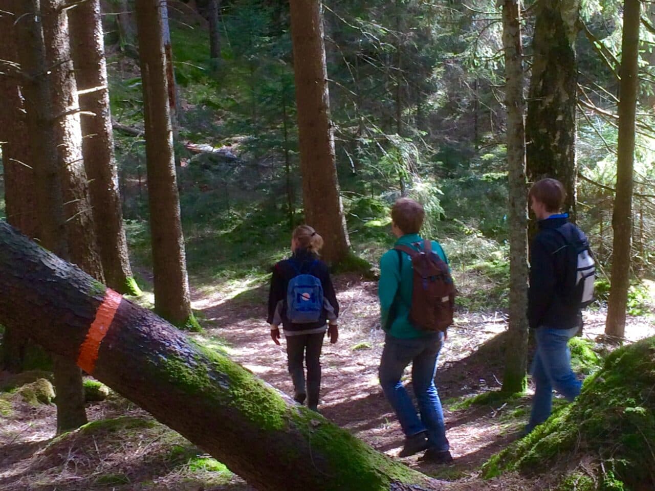 Oranga ledmarkeringar längs leden runt Stora Holmevatten