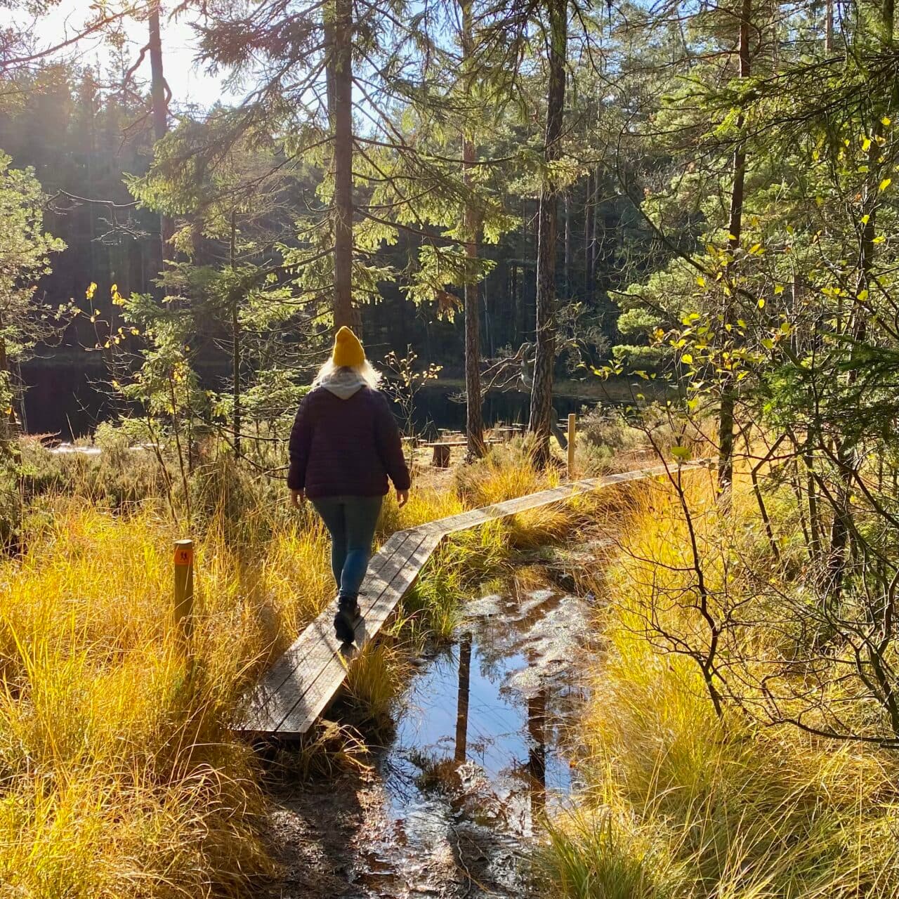 Spänger och ledmarkeringar hjälper dig längs vägen
