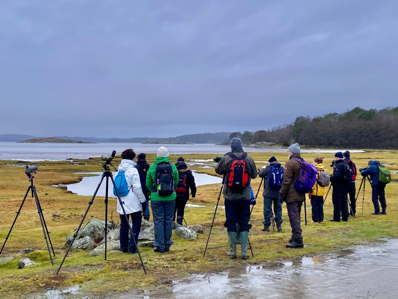 Fågelskådare vid Jordhammarsviken
