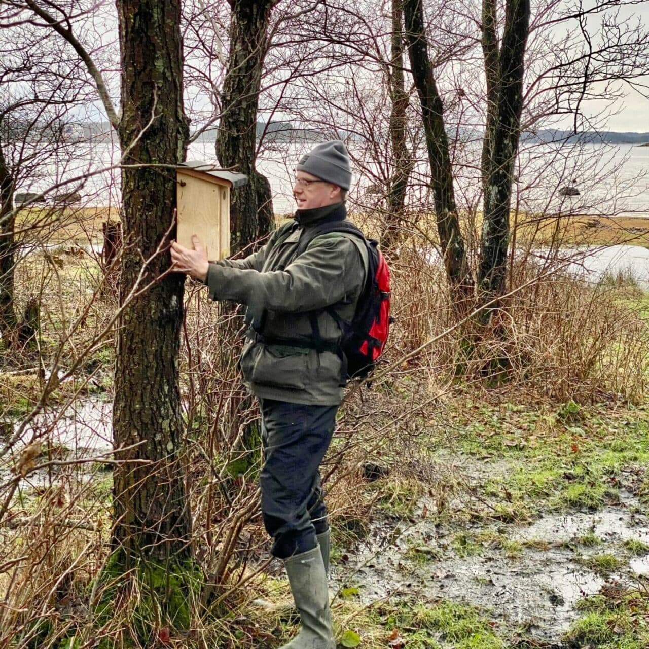 Holkuppsättning