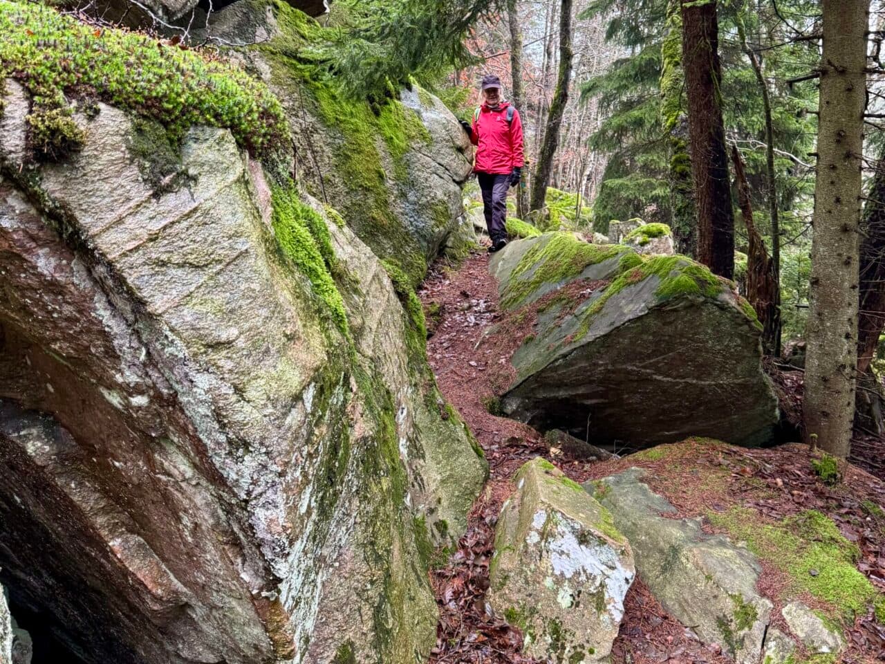 Skogsstig vid Korsvattnet