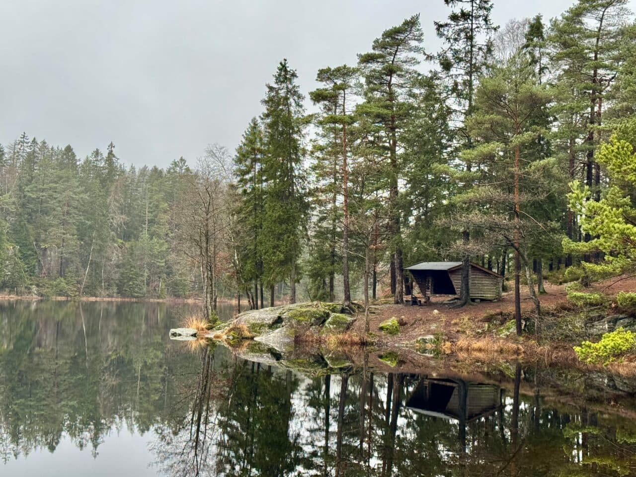 Vindskyddet vid Översjön i svartedalen
