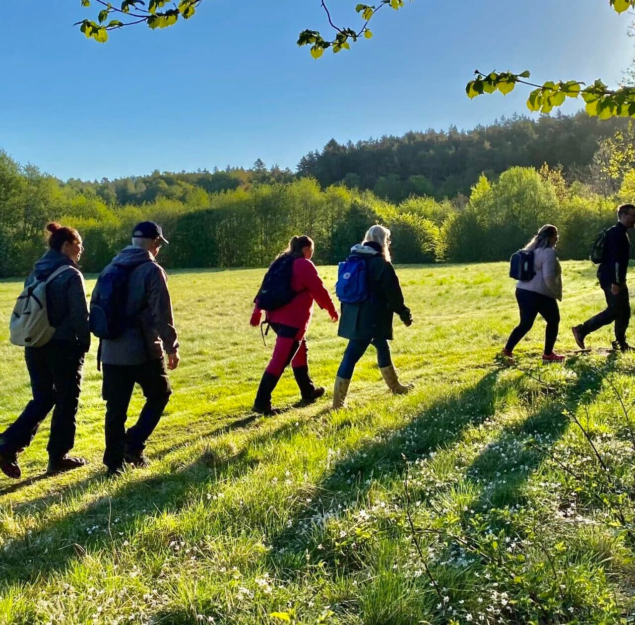 Vandrare på Furufjäll