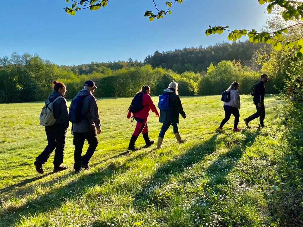 Vandrare på Furufjäll