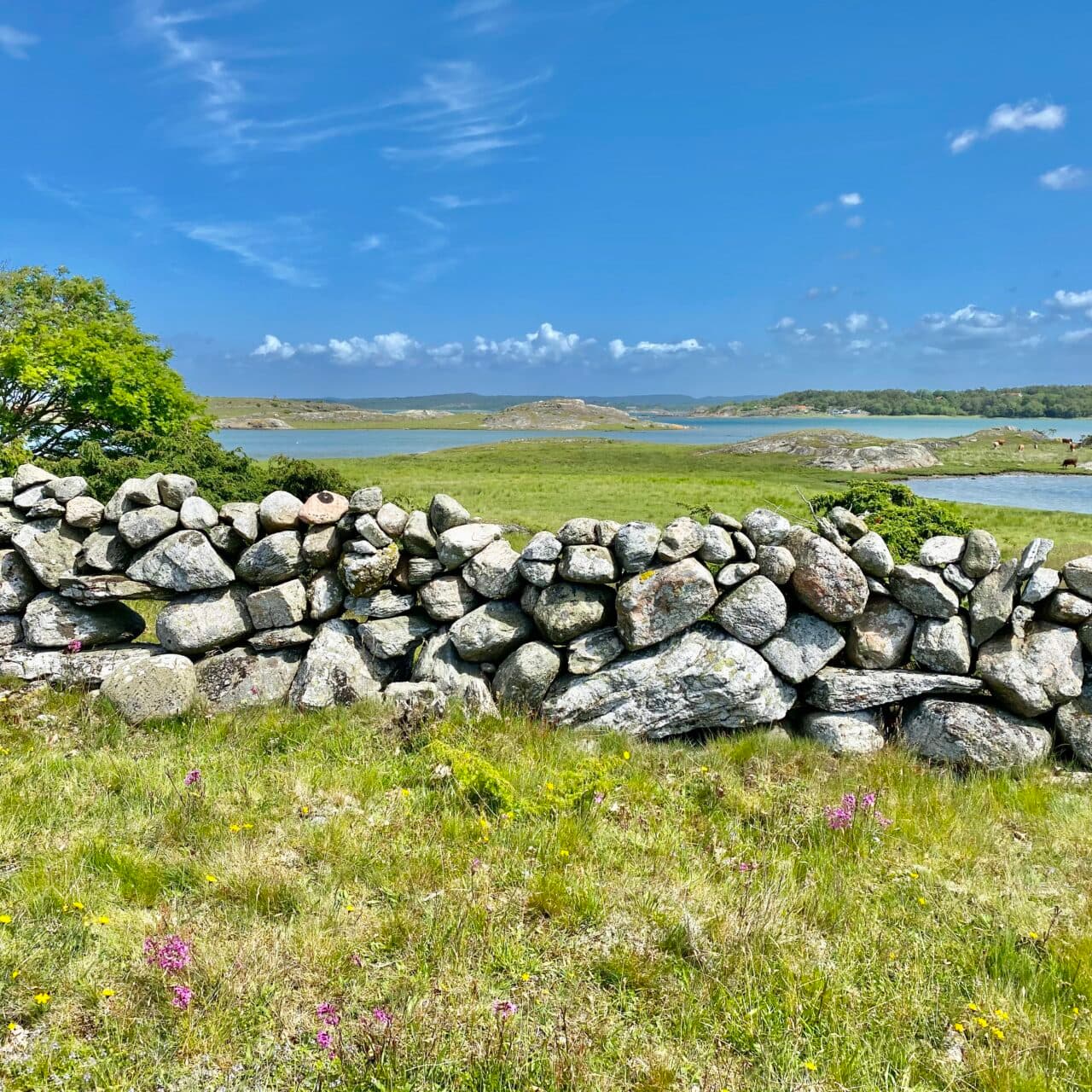 Keholmen i fjärran