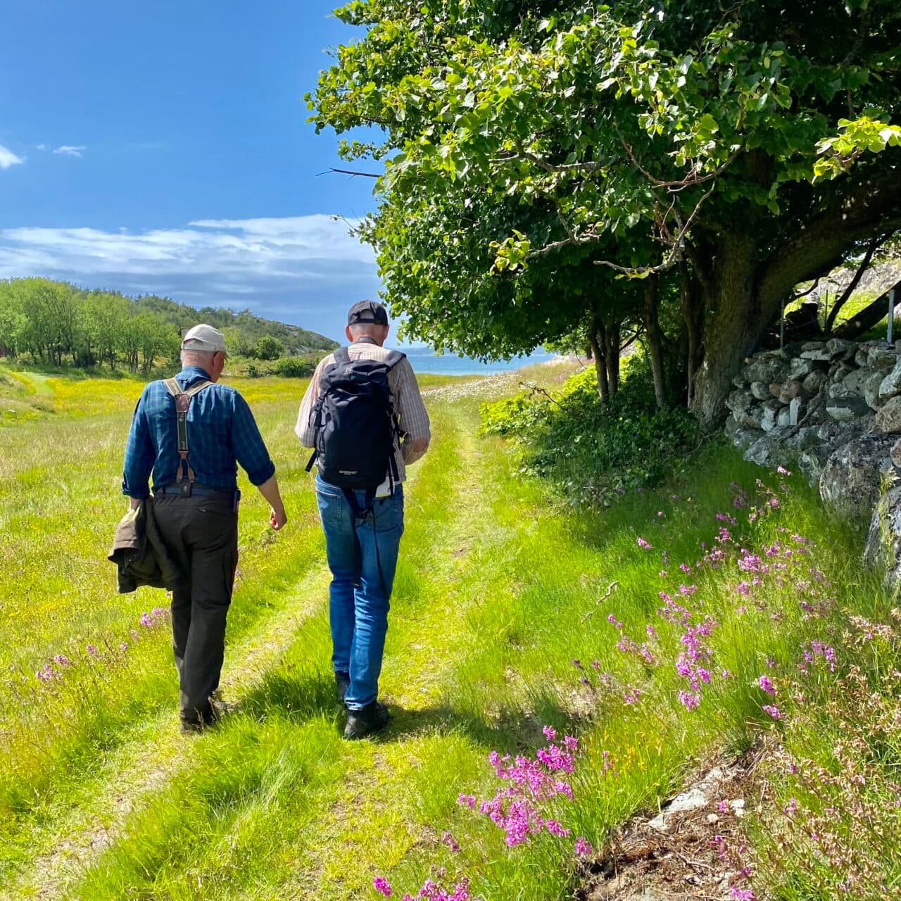 Vandrare på Ramsön