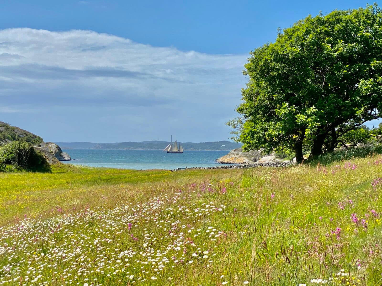Vy med segelfartyg från Stenungsundskusten