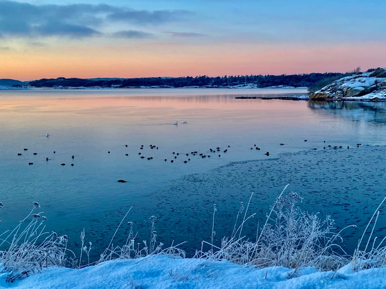 Skedhammarsviken vintertid