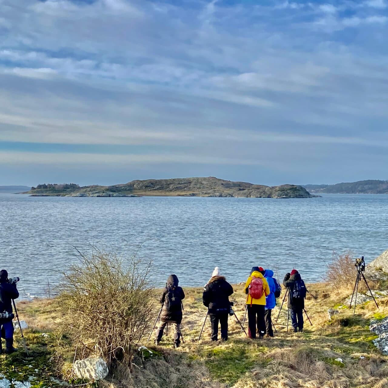 Fågelskådning mot öarna söderut