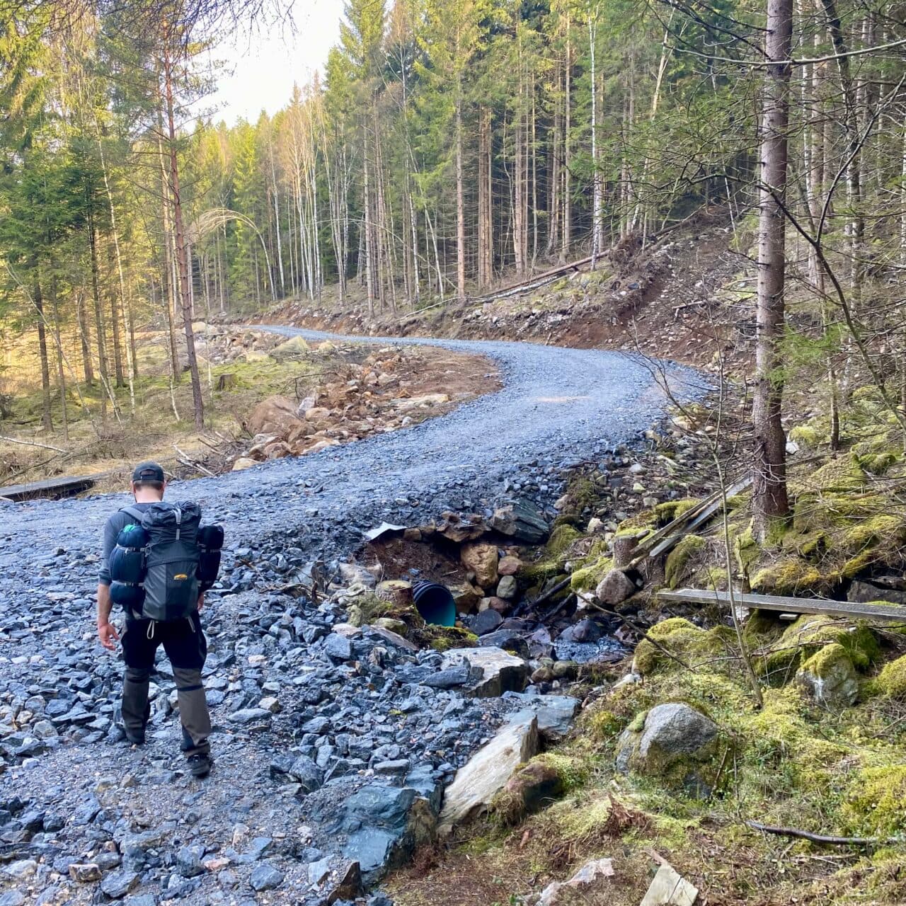 Nybyggd avverkningsväg