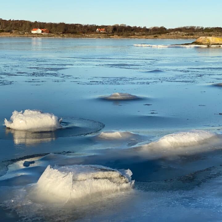 Kustlinje