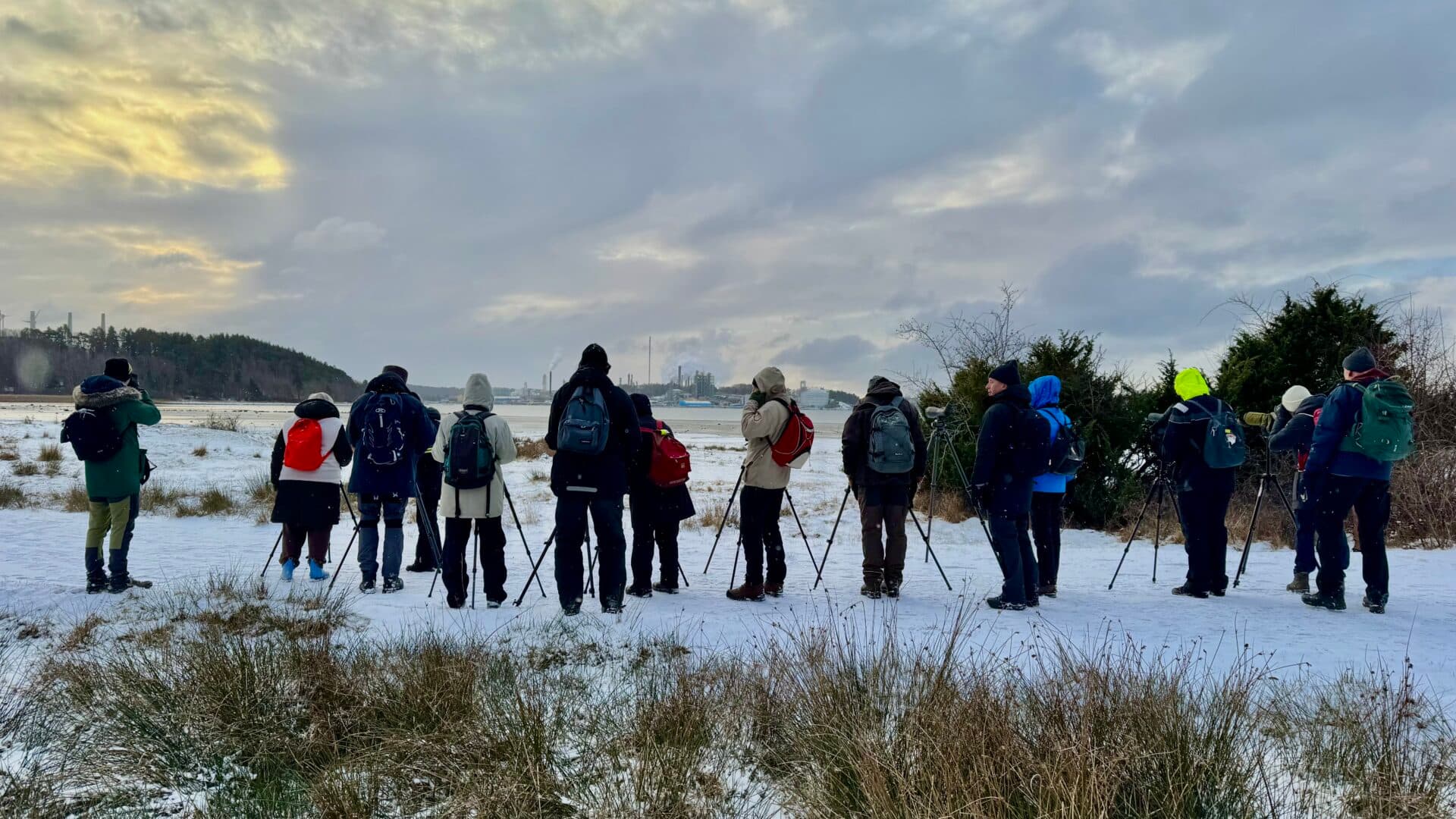 Forsärla och ängspiplärka på samma gång!