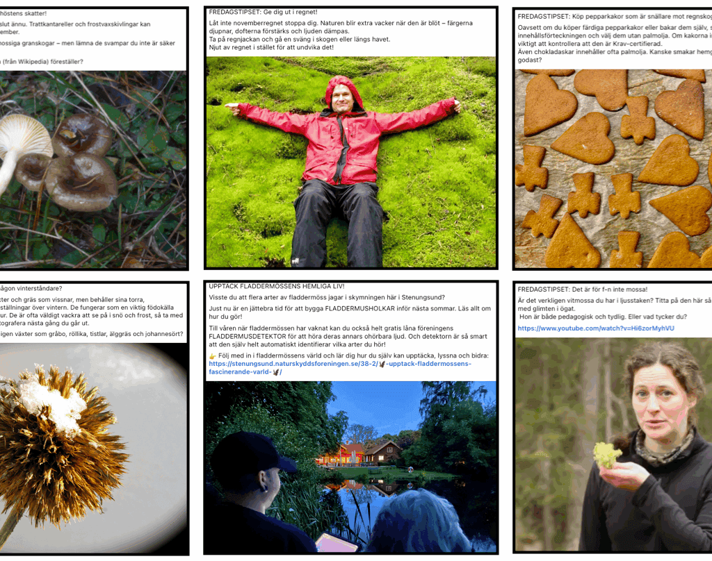 Fredagstipset på Facebook