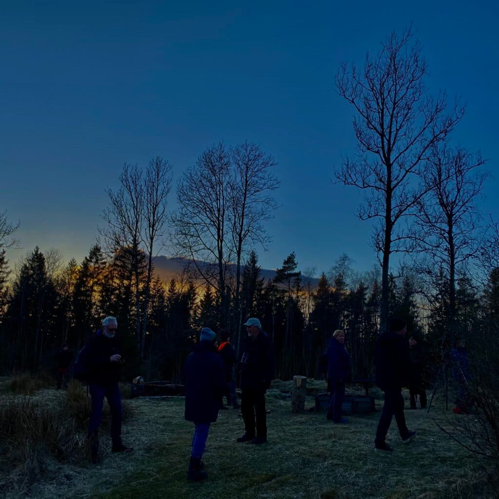 Ugglespanare i skymningen