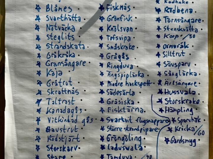 Artlista fågeltornskampen 2026