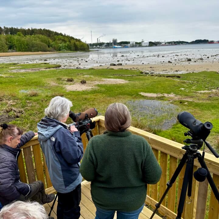 Kvinnliga fågelskådare