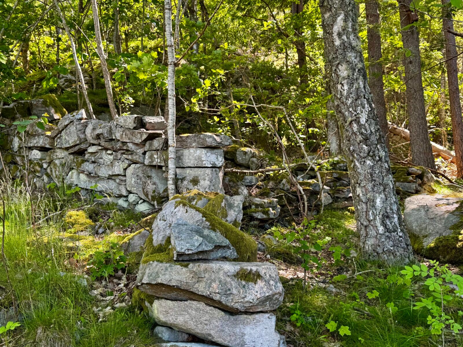 Bysmedjan Furufjäll