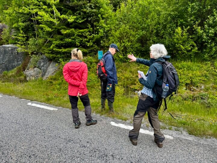 Kerstin visar oss fjärilar