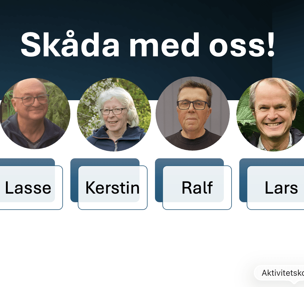 Måndagsskådare