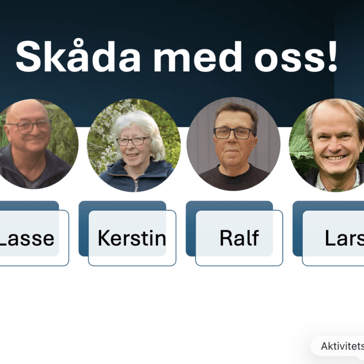 Måndagsskådare