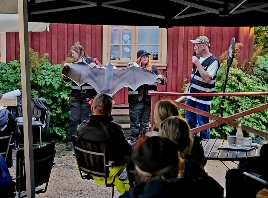 Världens största fladdermus -en flygande hund